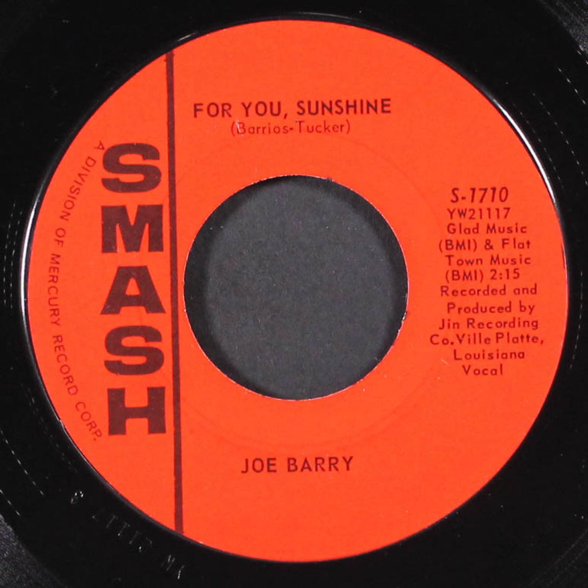 teardrops in my heart / for you, sunshine by JOE BARRY
