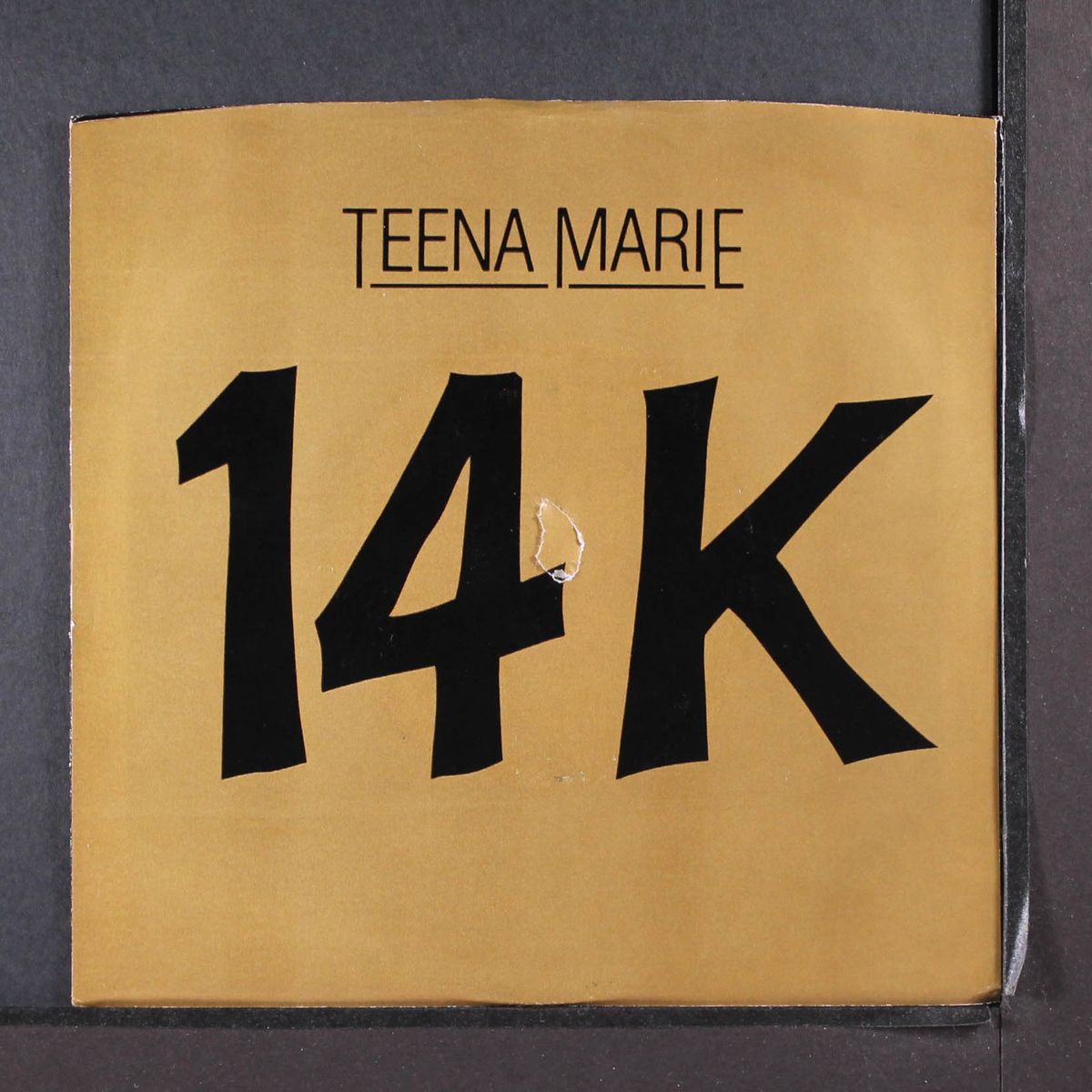 14k / instro by TEENA MARIE