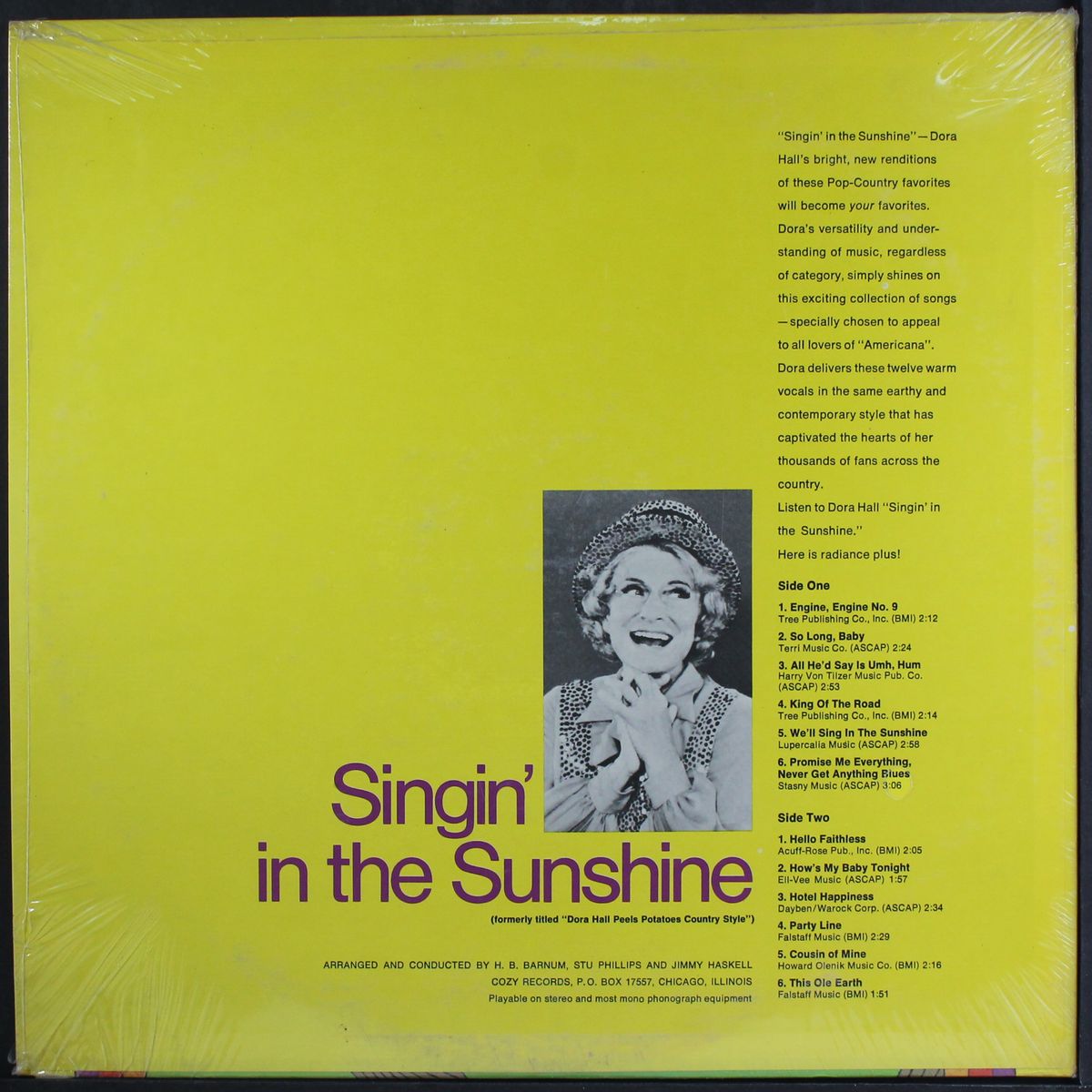 singin' in the sunshine by DORA HALL
