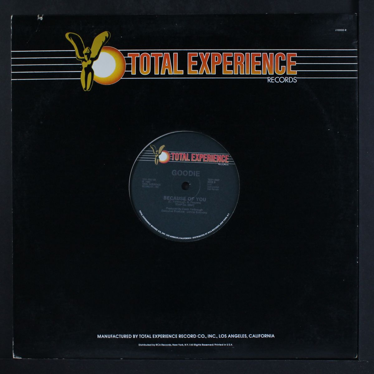 because of you / instro dub by GOODIE