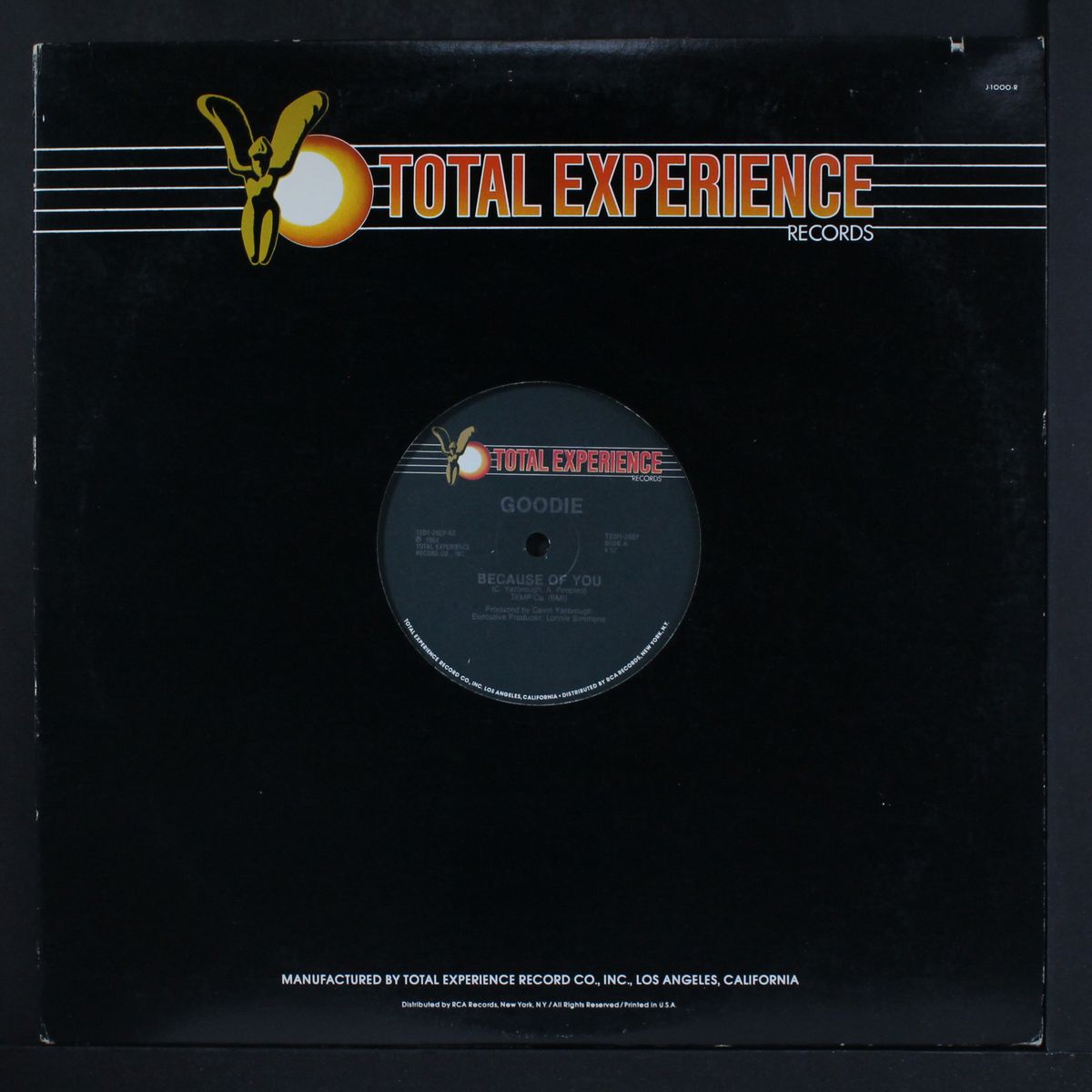 because of you / instro dub by GOODIE