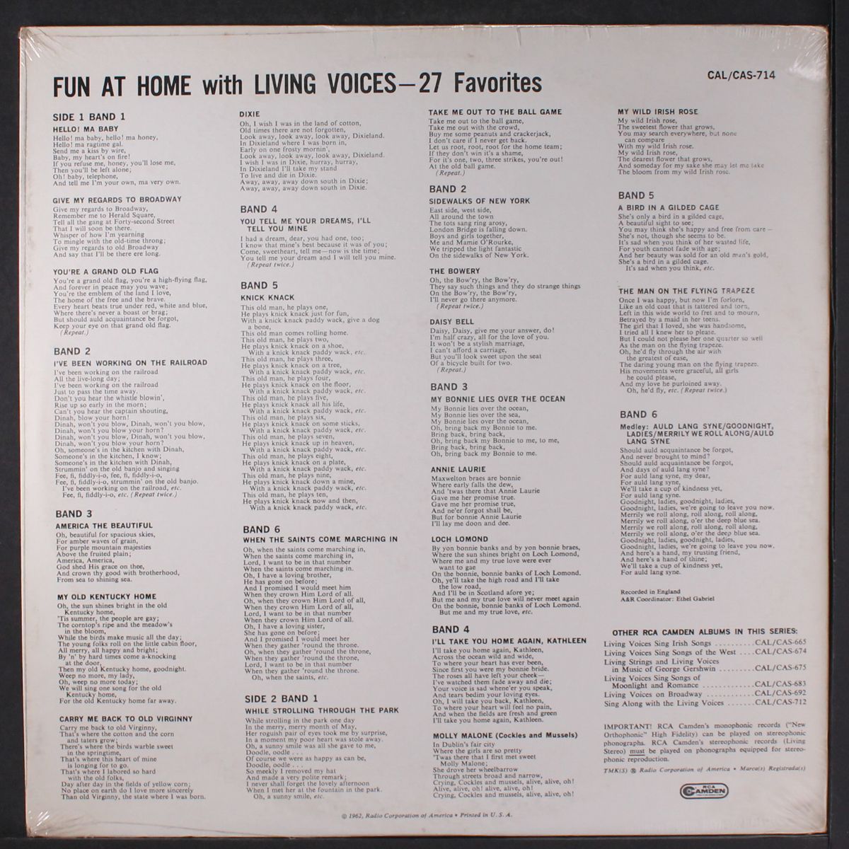 song fest fun at home by LIVING VOICES