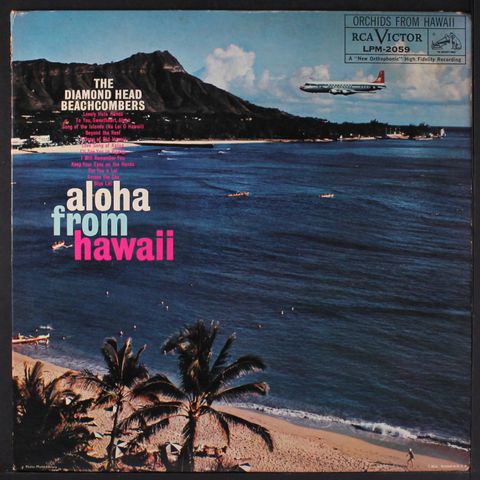 DIAMOND HEAD BEACHCOMBERS