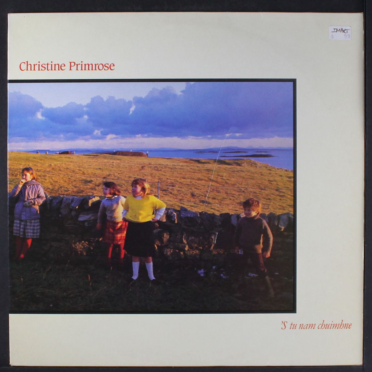 s tu nam chuimhne by CHRISTINE PRIMROSE
