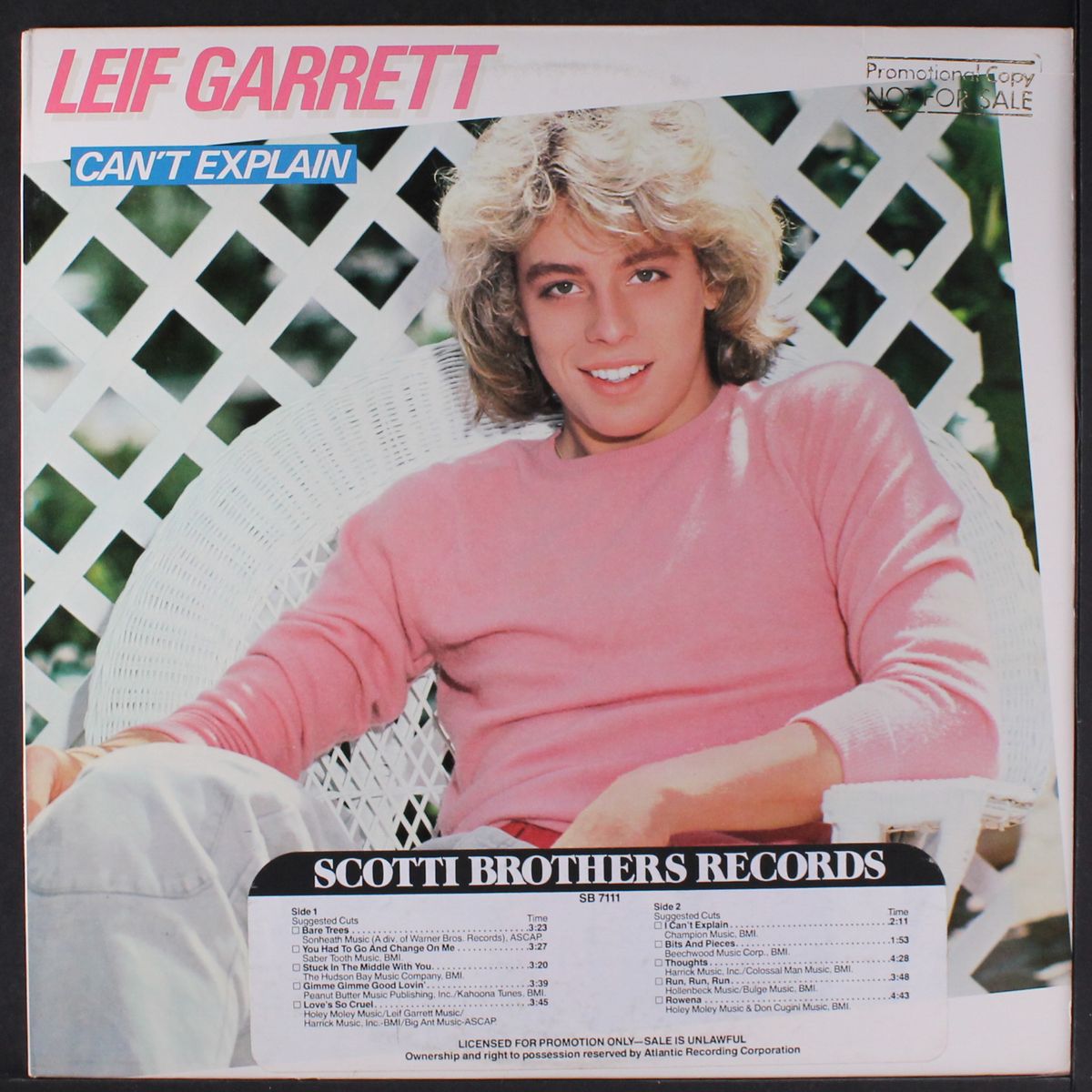can't explain by LEIF GARRETT