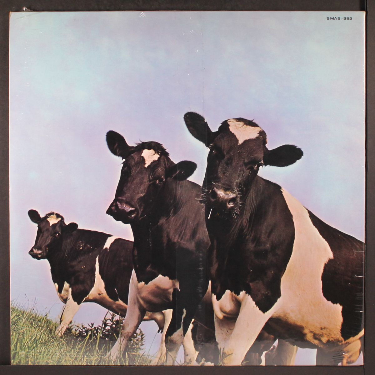 atom heart mother by PINK FLOYD