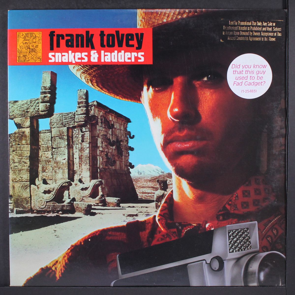 snakes & ladders by FRANK TOVEY