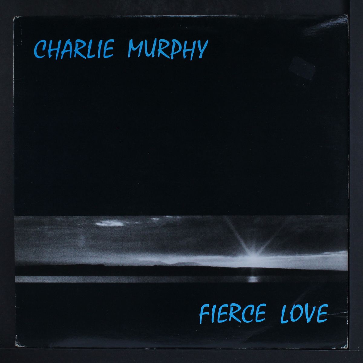 fierce love by CHARLIE MURPHY