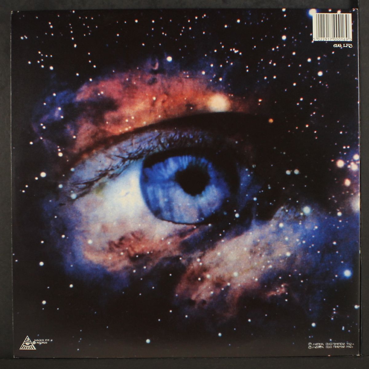 r u spaced out 2 by MAGIC MUSHROOM BAND