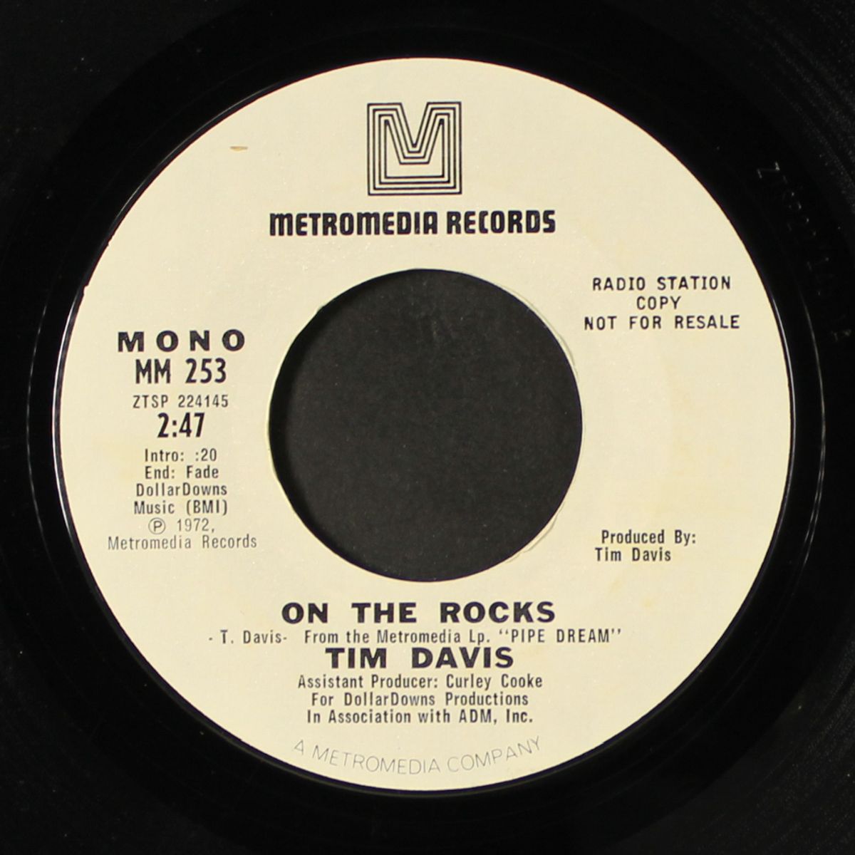 buzzy brown / on the rocks by TIM DAVIS