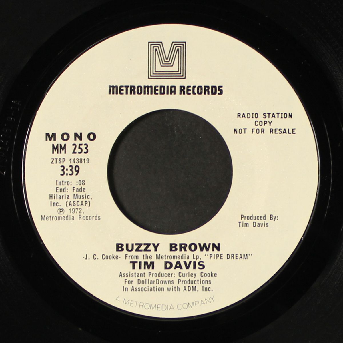 buzzy brown / on the rocks by TIM DAVIS