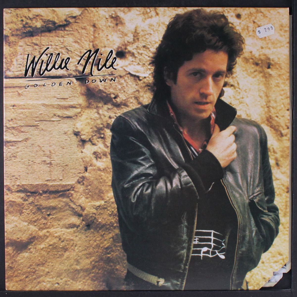 golden down by WILLIE NILE