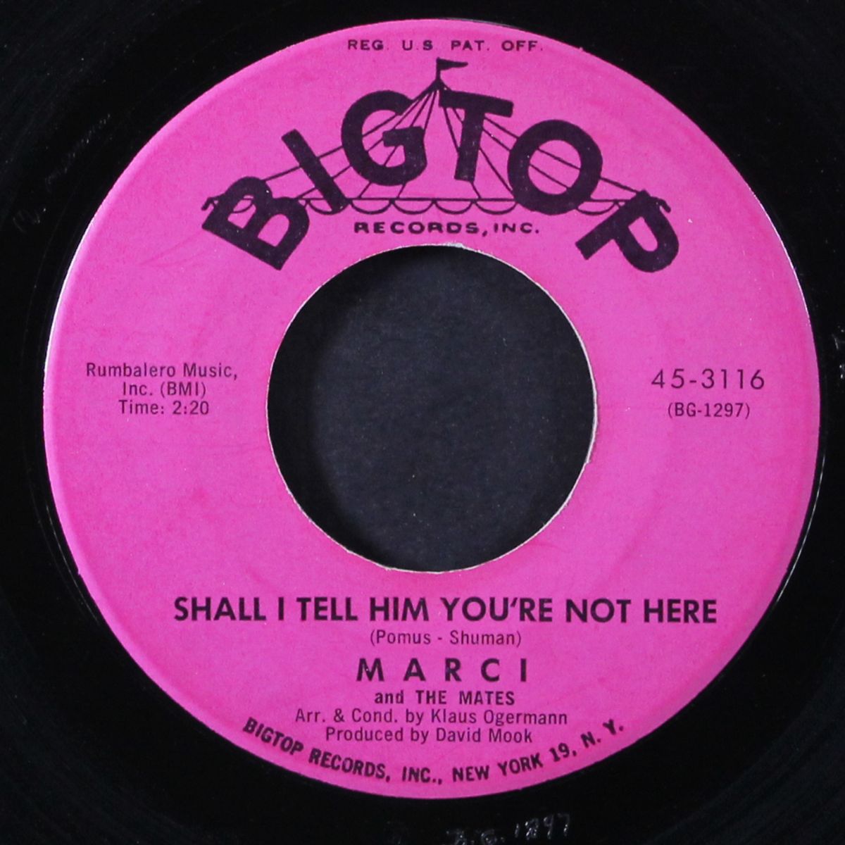 shall i tell him you're not here / let us part for a year by MARCI & MATES