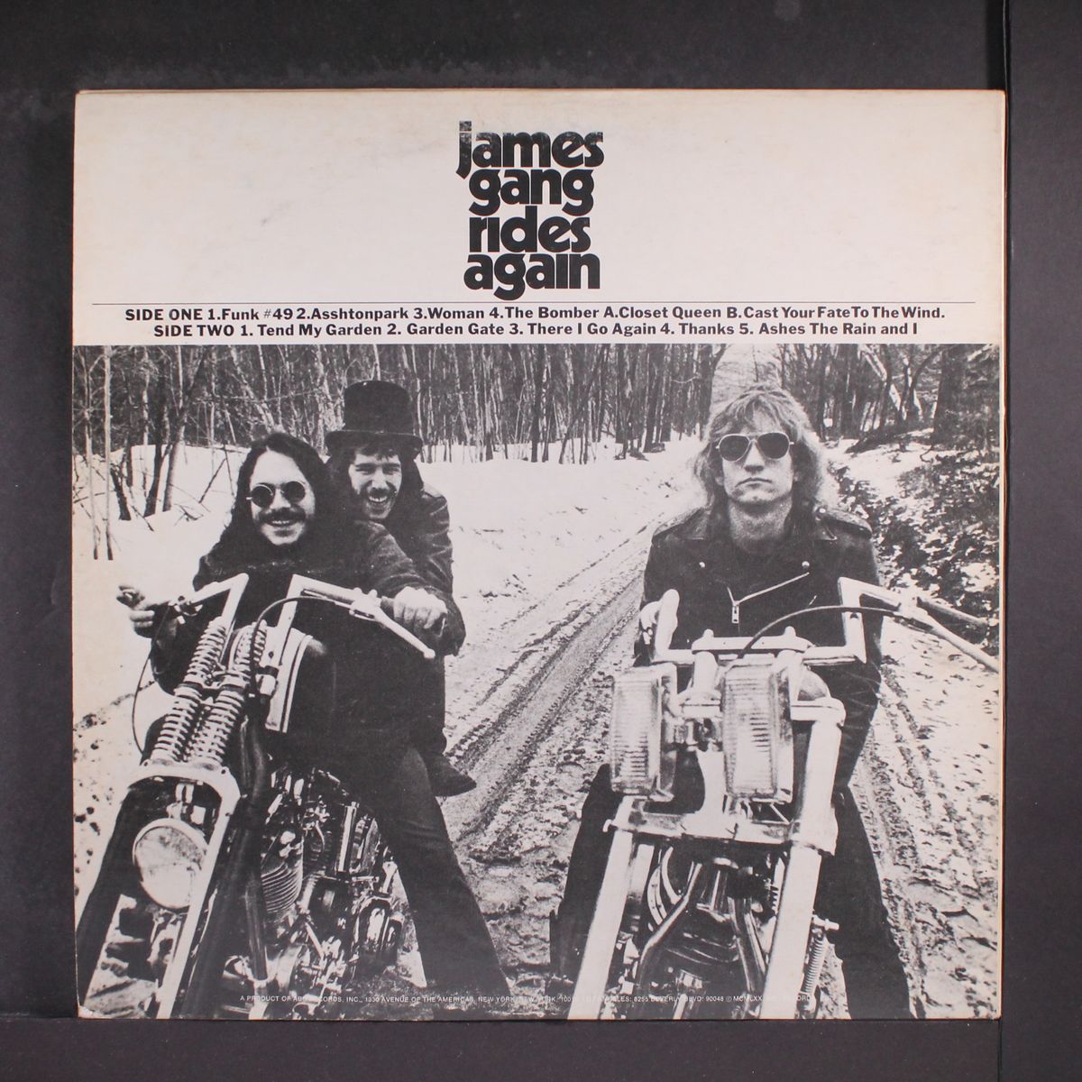 james gang rides again by JAMES GANG