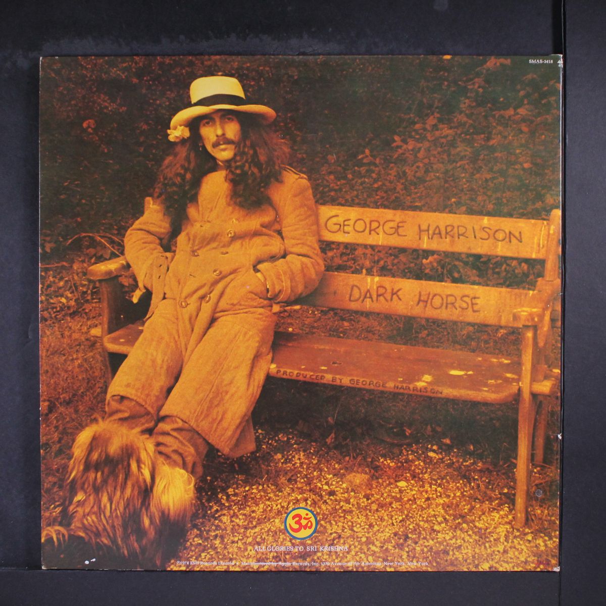 dark horse by GEORGE HARRISON