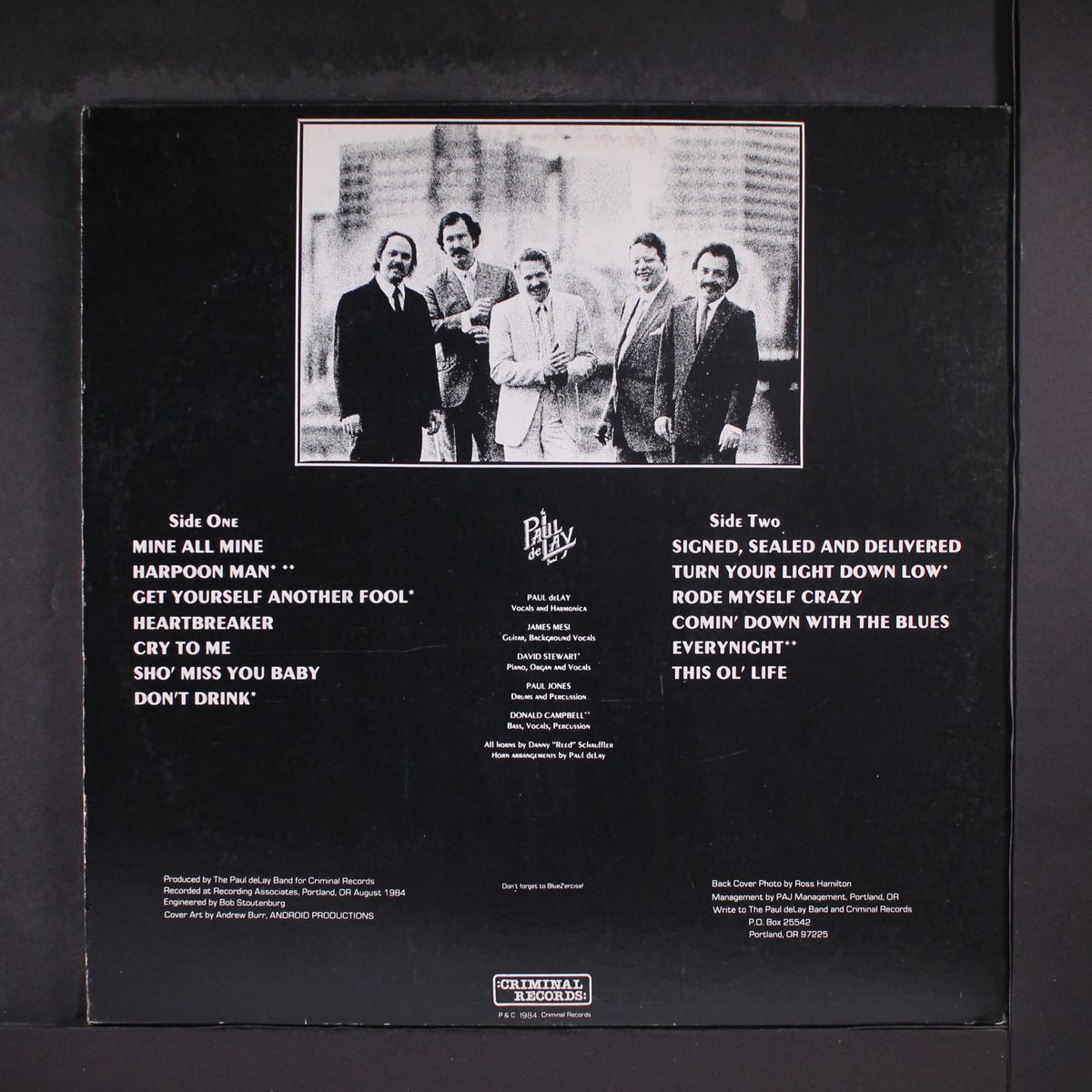 american voodoo by PAUL DELAY BAND