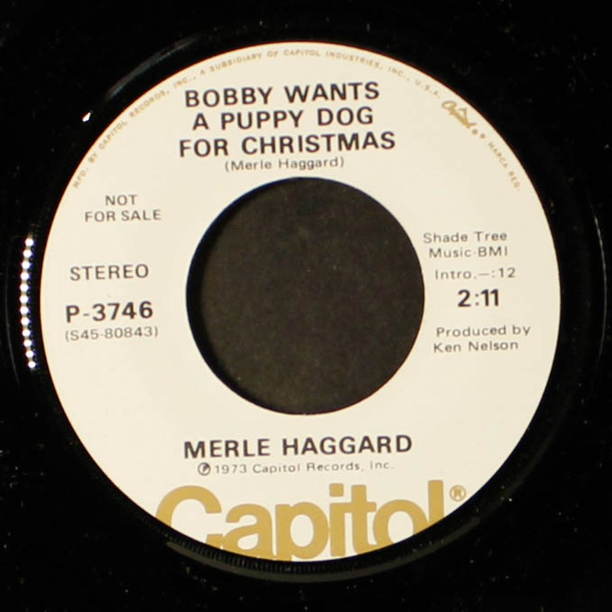 bobby wants a puppy dog for christmas / if we make it through december by MERLE HAGGARD