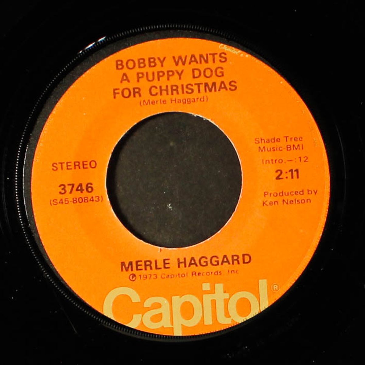 if we make it through december / bobby wants a puppy dog for christmas by MERLE HAGGARD