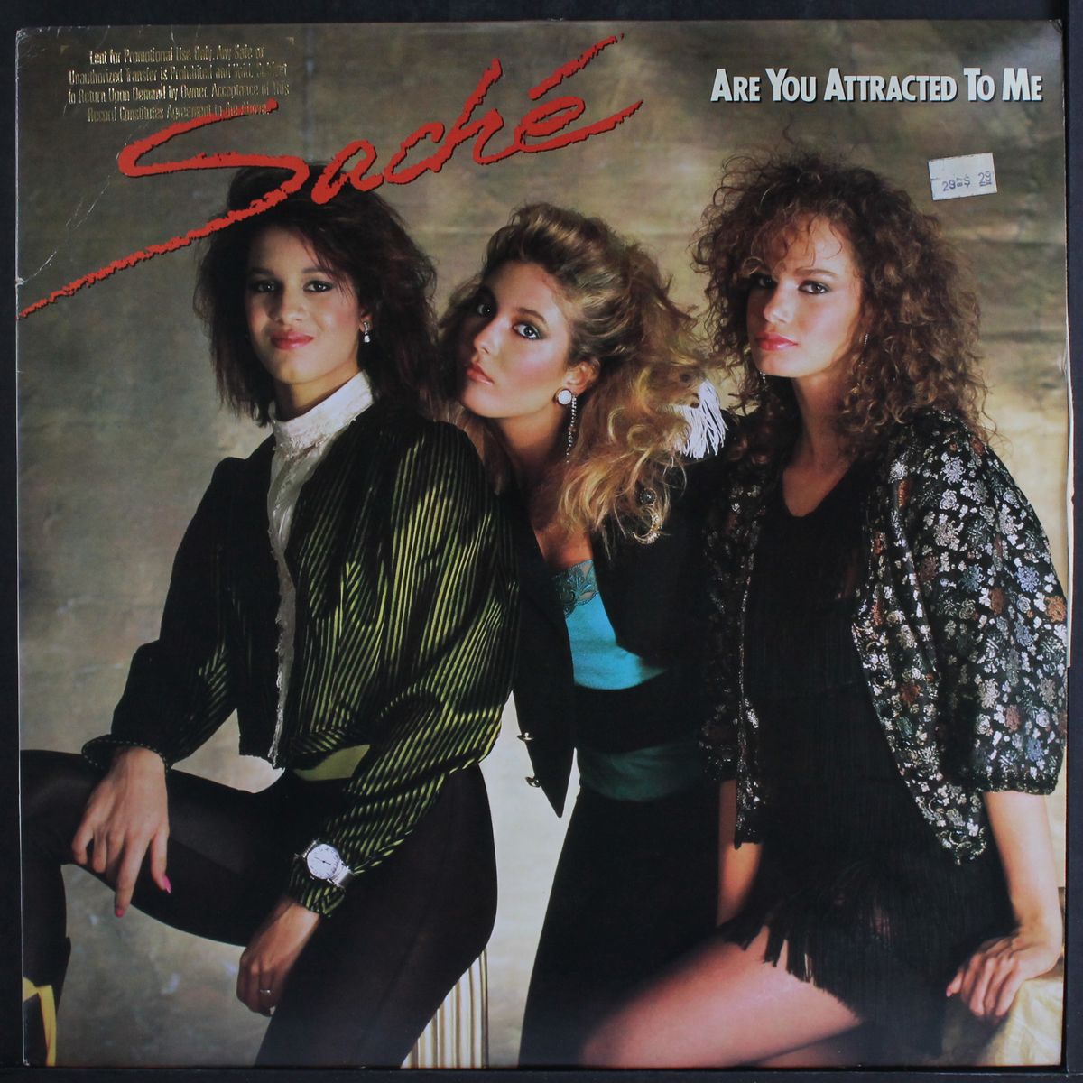 are you attracted to me by SACHE