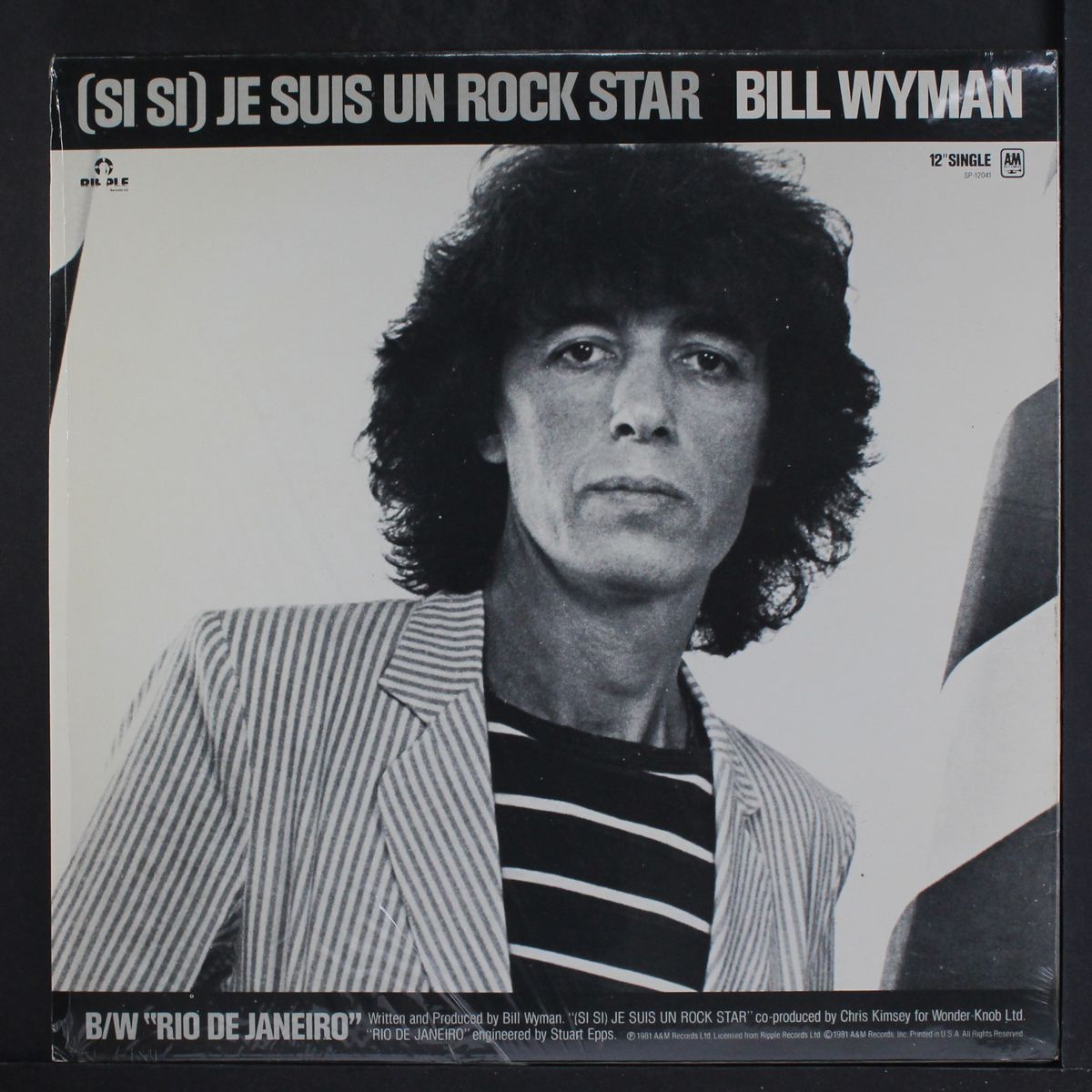 (si si) je suis un rock star / short by BILL WYMAN