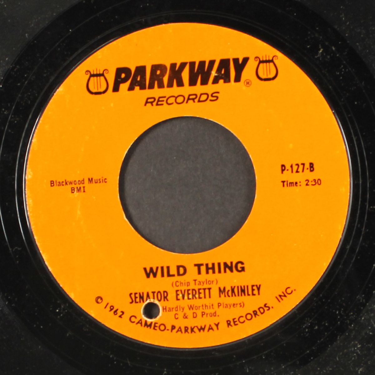 wild thing by SENATOR BOBBY