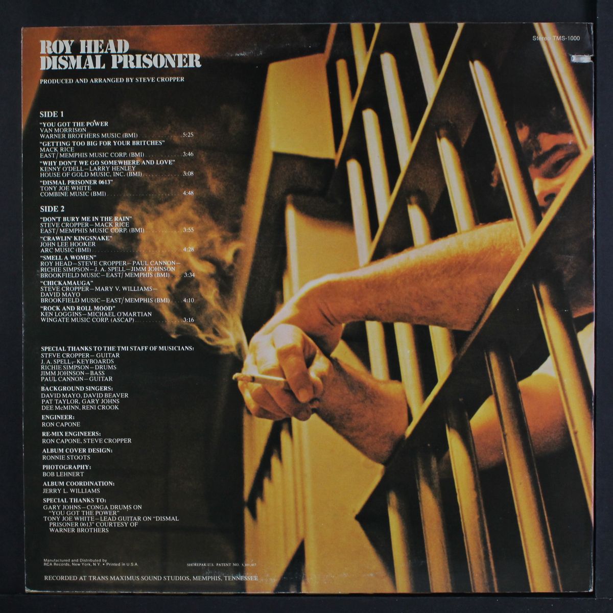 dismal prisoner by ROY HEAD