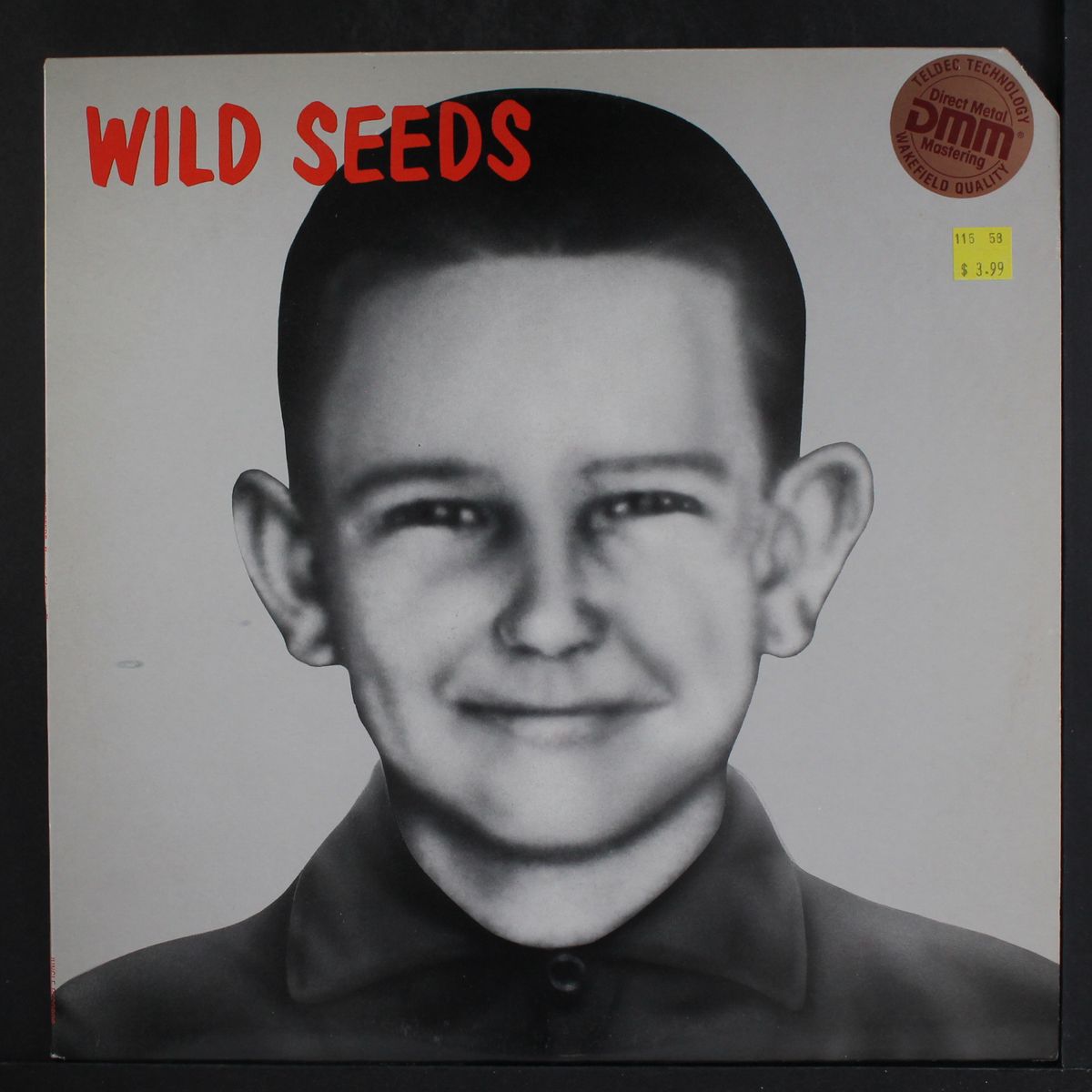 brave, clean + reverent by WILD SEEDS