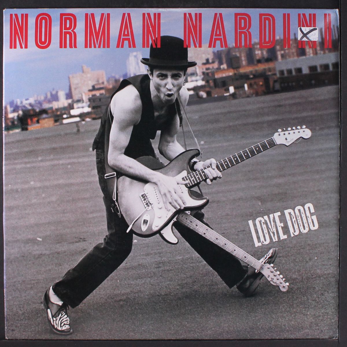 love dog by NORMAN NARDINI