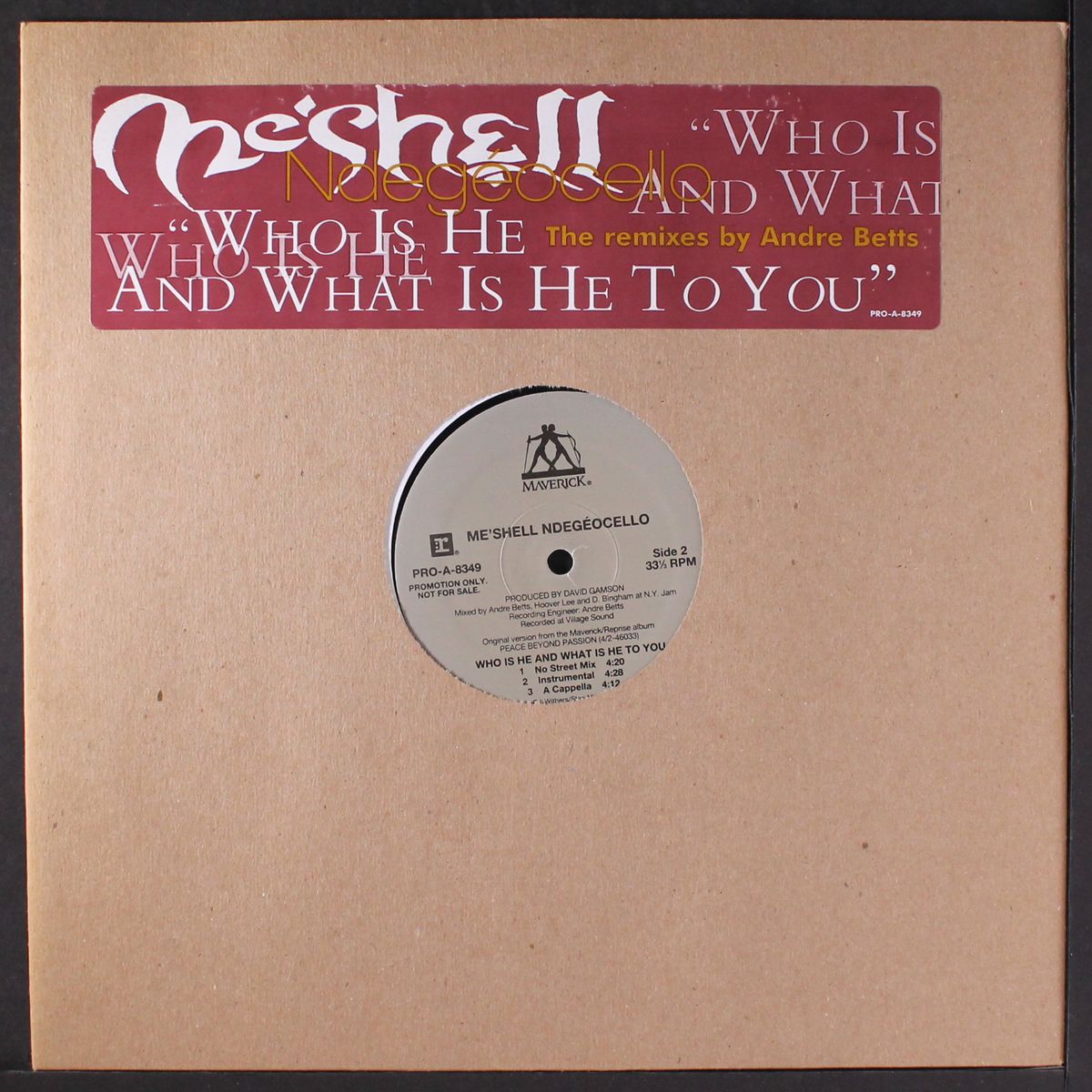 who is he and what is he to you by ME'SHELL NDEGEOCELLO