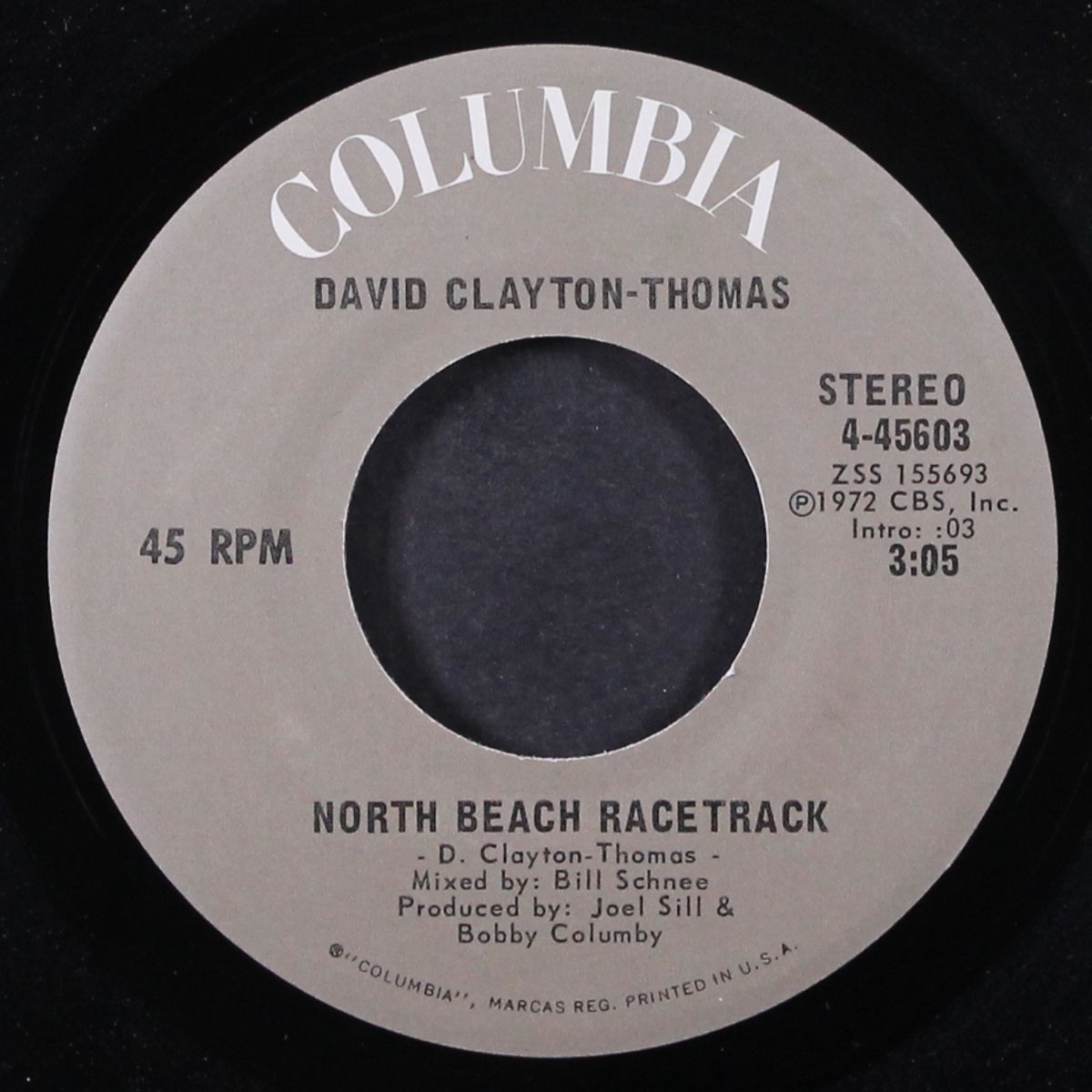 magnificent sanctuary band / north beach racetrack by DAVID CLAYTON-THOMAS