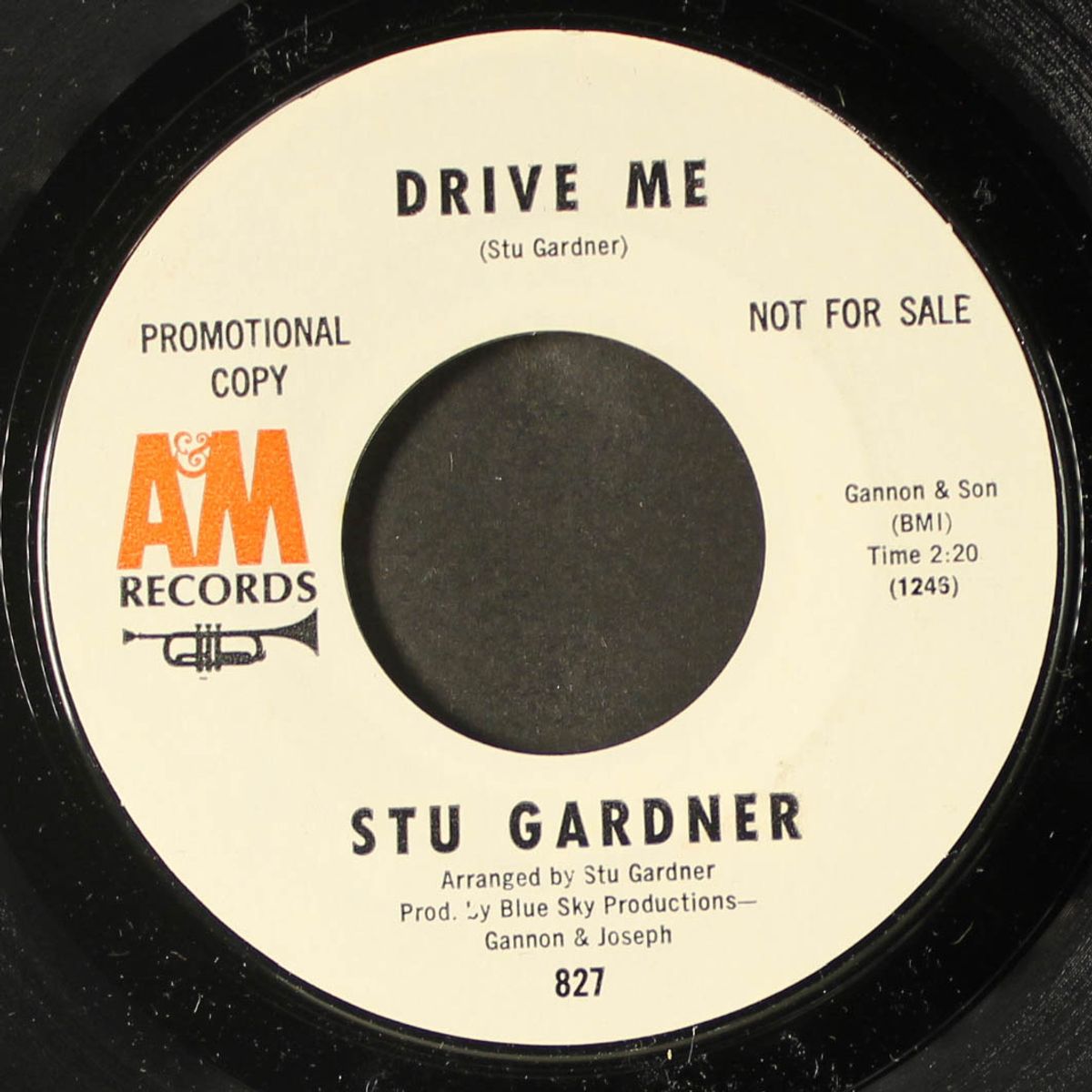 drive me / how do you feel by STU GARDNER
