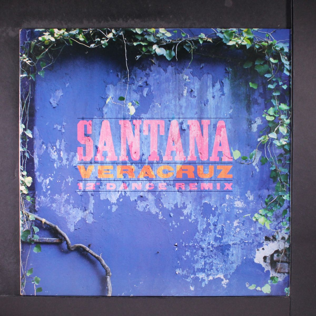 veracruz (the cool mix) by SANTANA