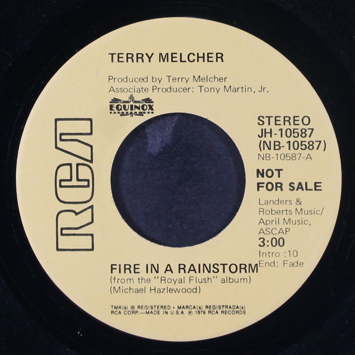 fire in a rainstorm / mono by TERRY MELCHER