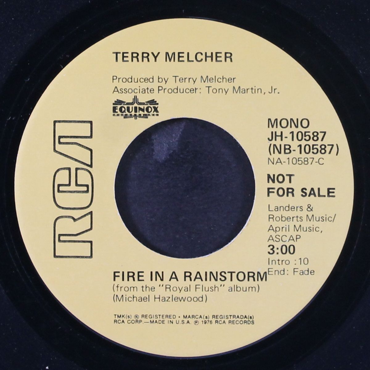 fire in a rainstorm / mono by TERRY MELCHER