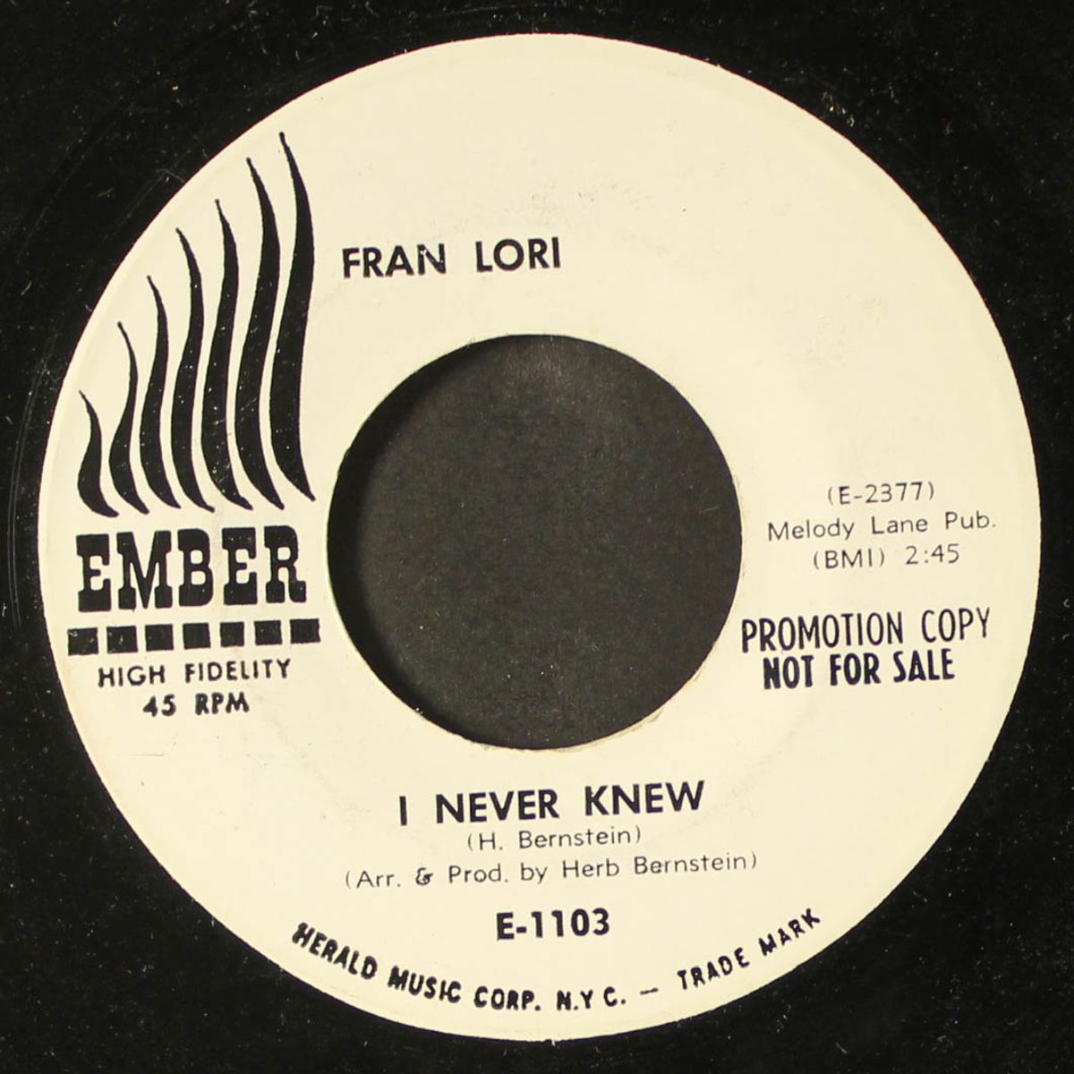 i never knew / my sister and i by FRAN LORI