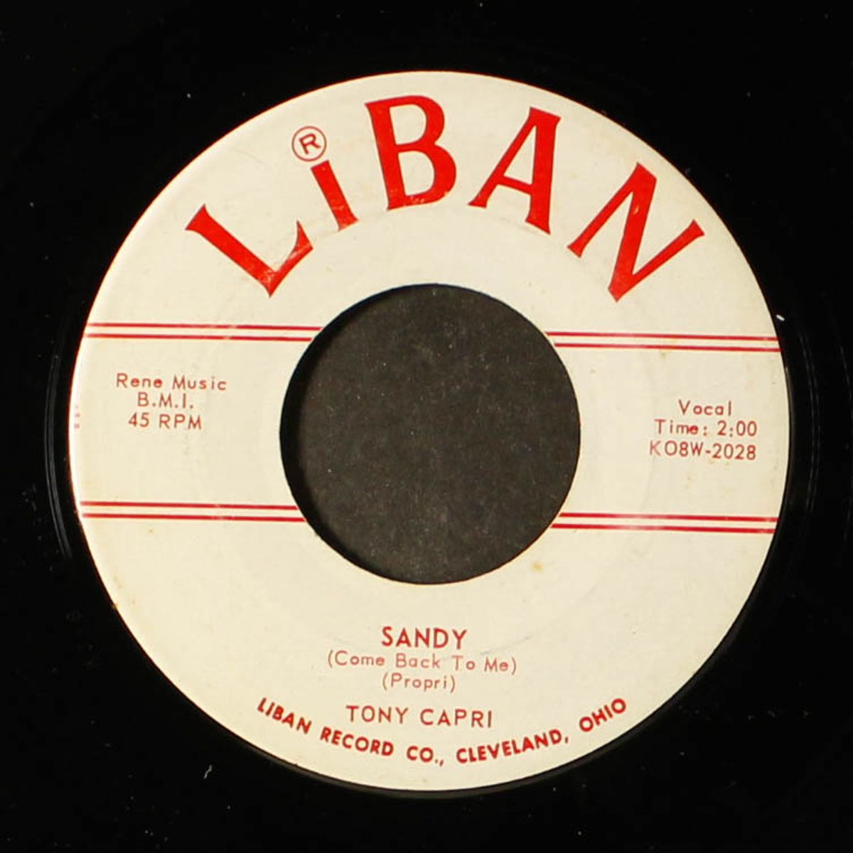 sandy / why do you do me by TONY CAPRI