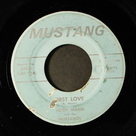 ALLEN MANN & MUSTANGS