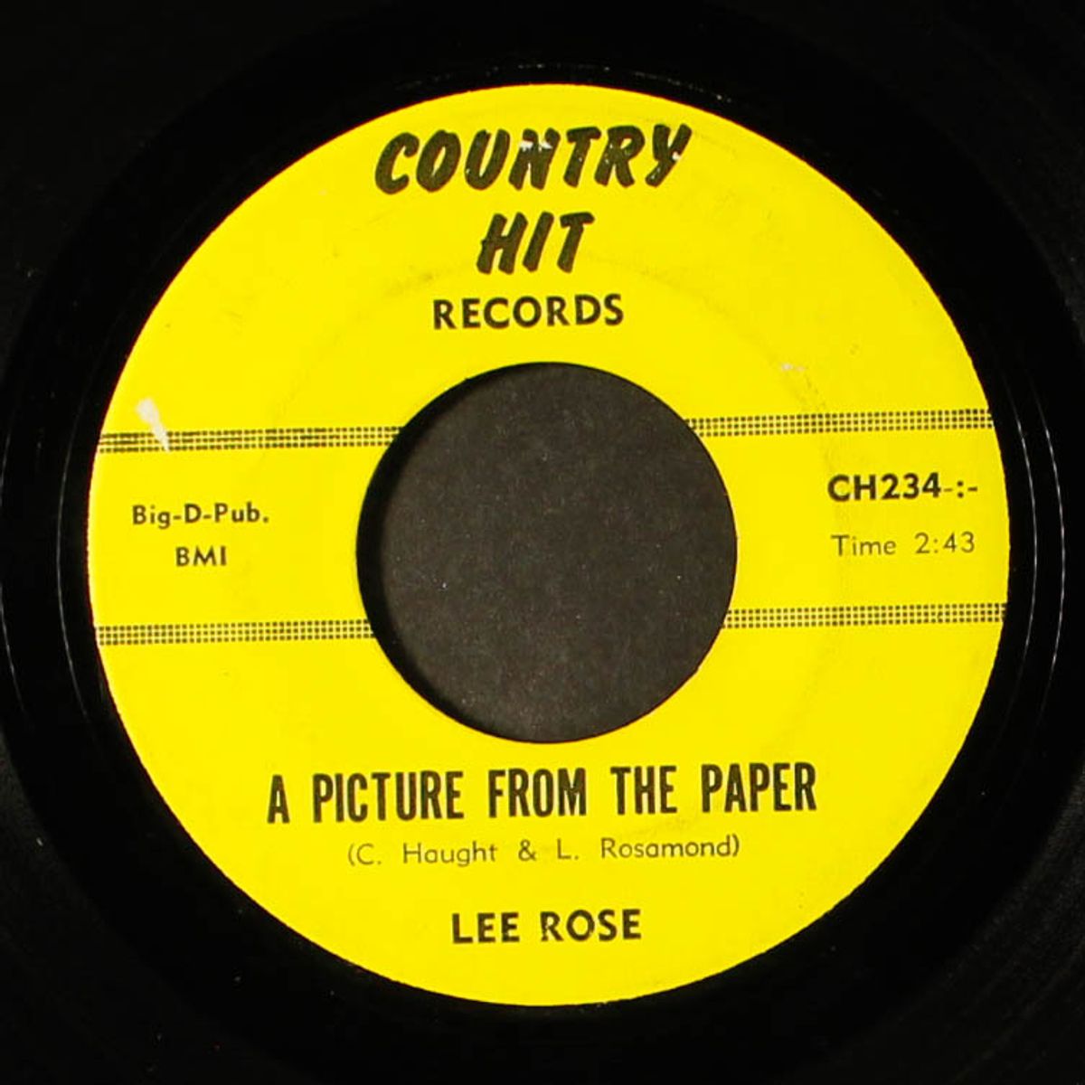 you don't know how i love you but i do / a picture from the paper by LEE ROSE
