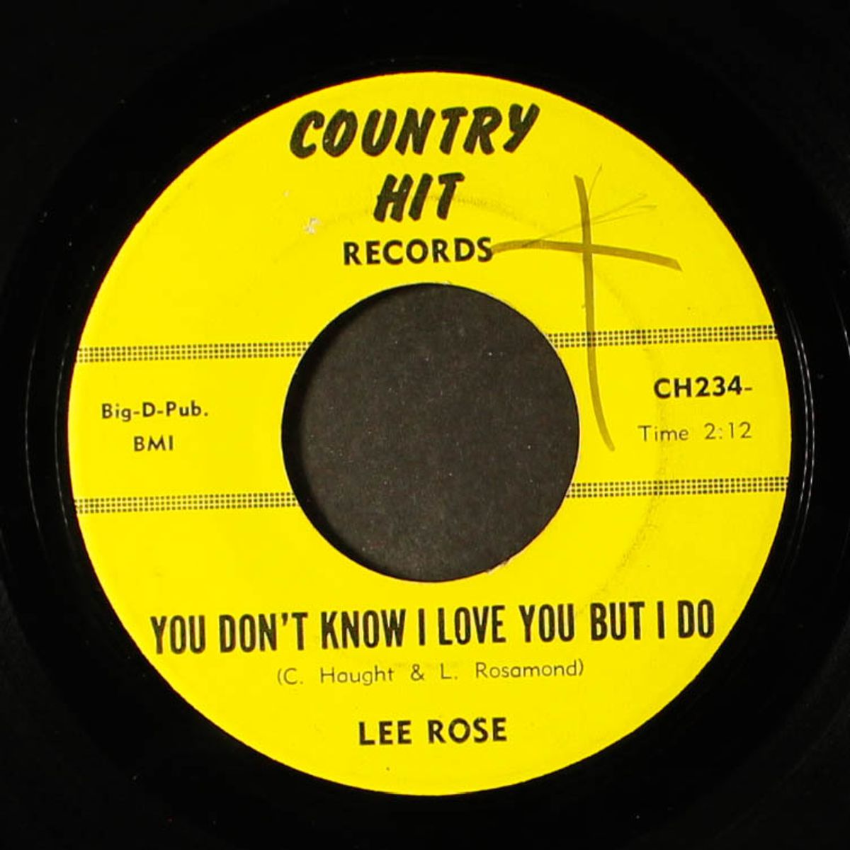 you don't know how i love you but i do / a picture from the paper by LEE ROSE