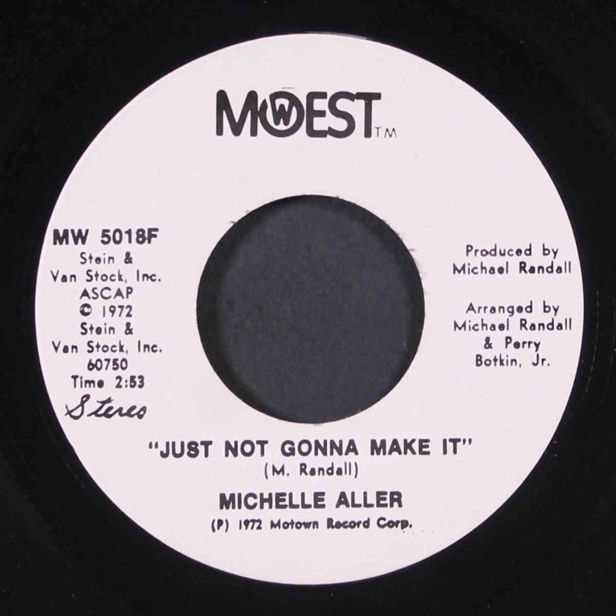 just not gonna make it by MICHELLE ALLER