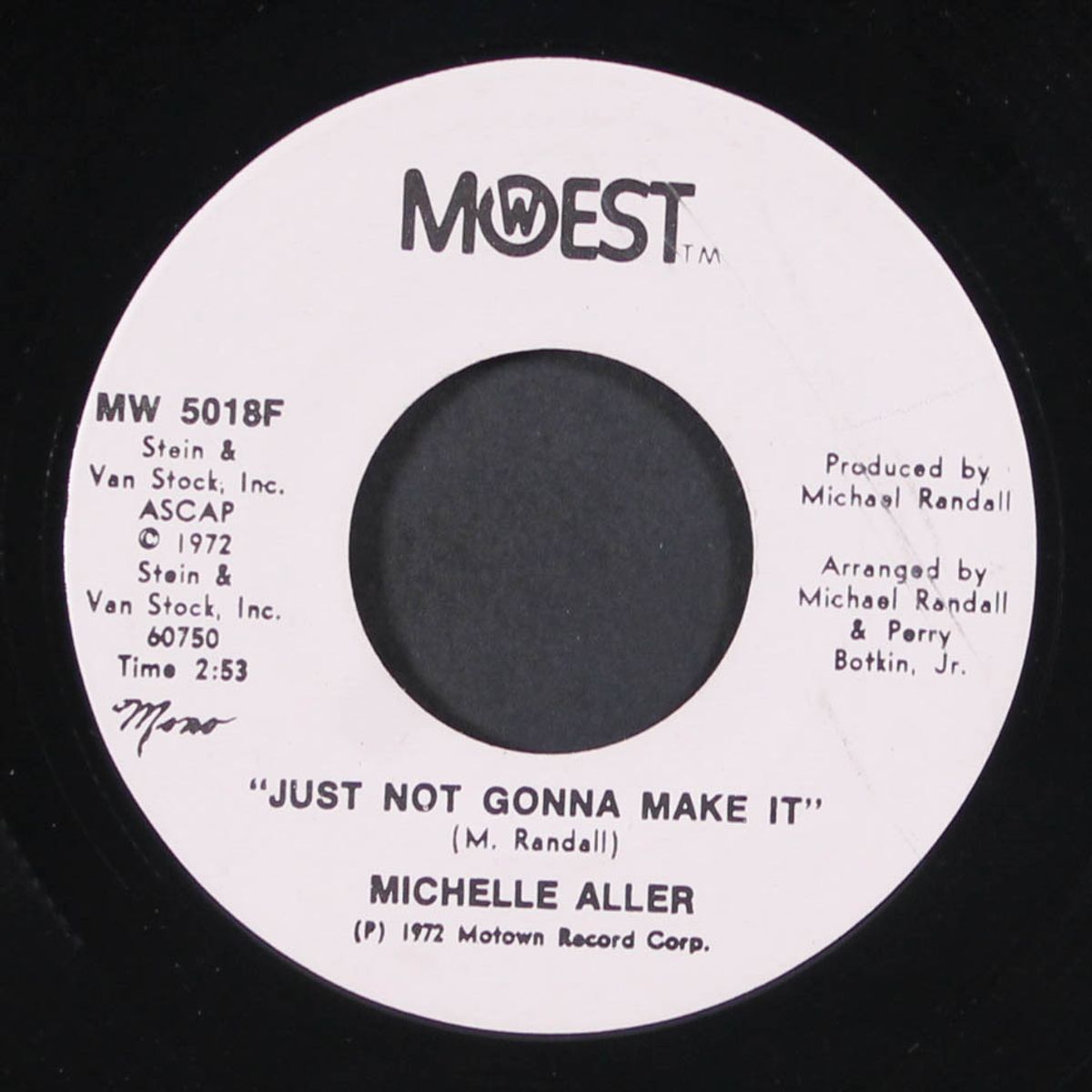 just not gonna make it by MICHELLE ALLER
