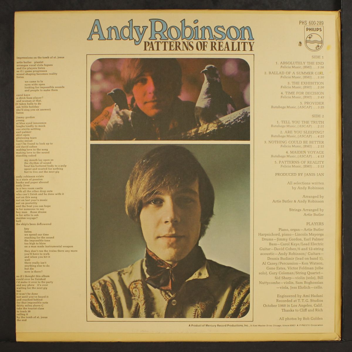 patterns of reality by ANDY ROBINSON