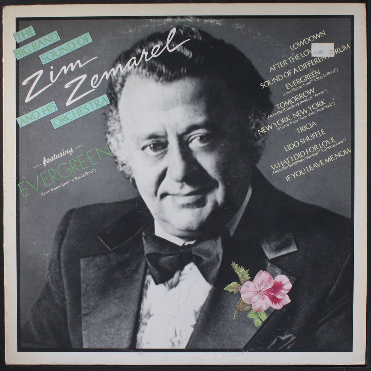 the big sound of by ZIM ZEMAREL