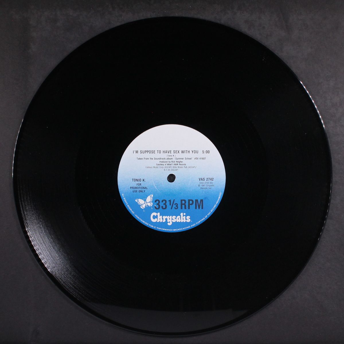 i'm supposed to have sex with you / same by TONIO K.