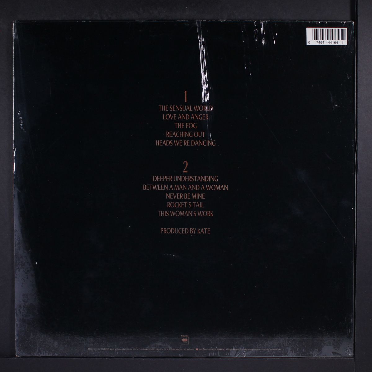 the sensual world by KATE BUSH