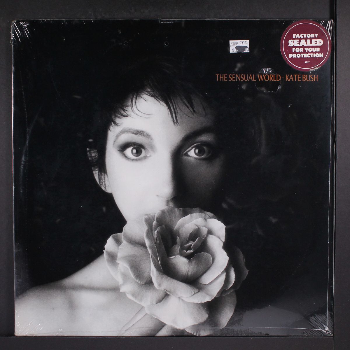 the sensual world by KATE BUSH