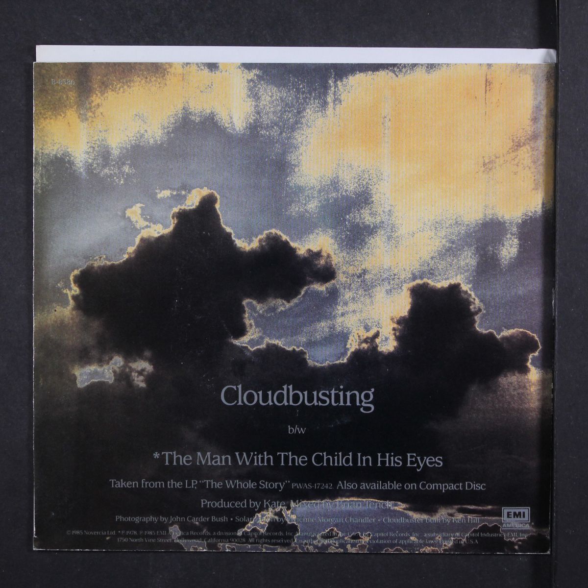 cloudbusting / the man with the child in his eyes by KATE BUSH