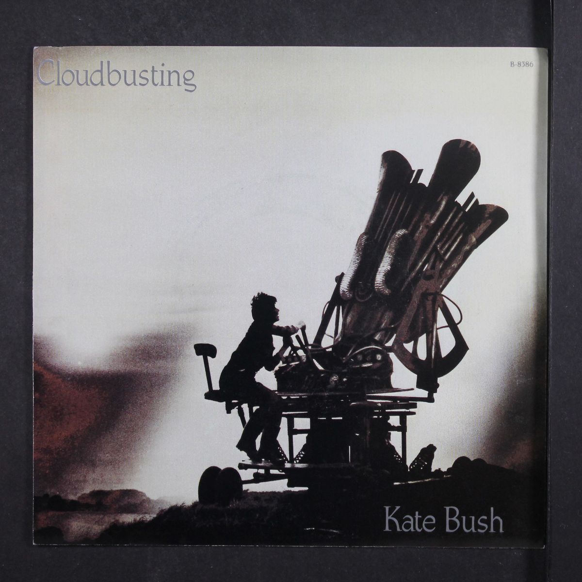 cloudbusting / the man with the child in his eyes by KATE BUSH