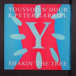 PETER GABRIEL & YOUSSOU N'DOUR