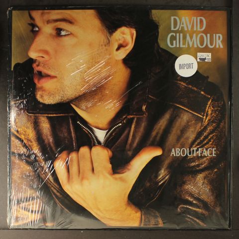 DAVID GILMOUR